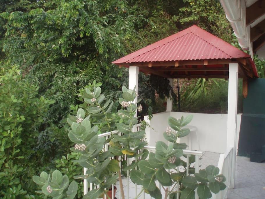 Studio De Charme Au Coeur Du Village, Vue Baie Terre-De-Haut Buitenkant foto